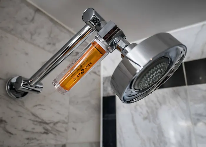 Finest Hotels for an Unforgettable Las Vegas Stay