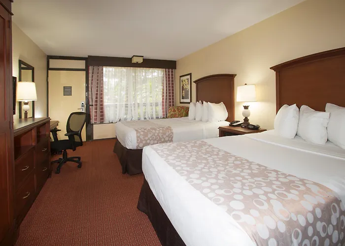Top Early Check-in Hotels in Orlando