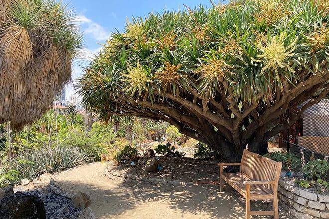 Mildred E. Mathias Botanical Garden