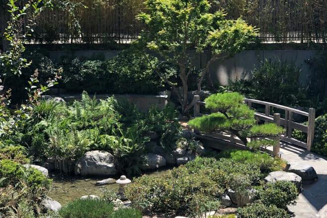 James Irvine Japanese Garden